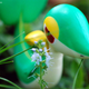 Illustration for article titled Pokémon (OH) Snap!: Hiding in the Tall Grass...(Part I)